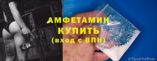 сатива Аркадак
