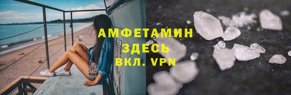 сатива Аркадак