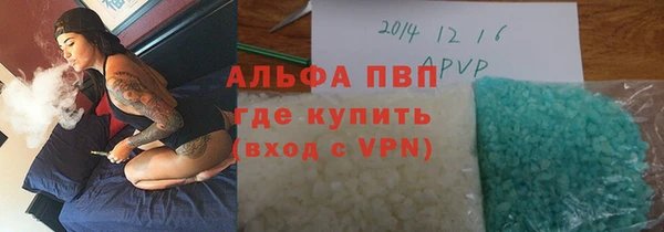 сатива Аркадак