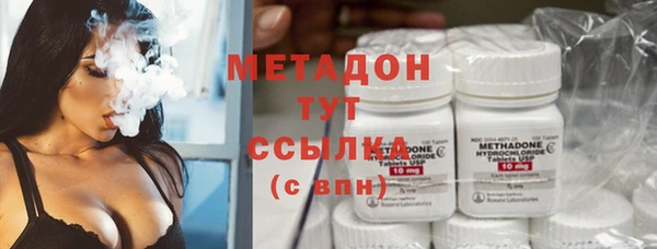 сатива Аркадак