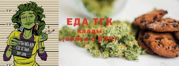 сатива Аркадак