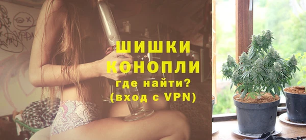 сатива Аркадак