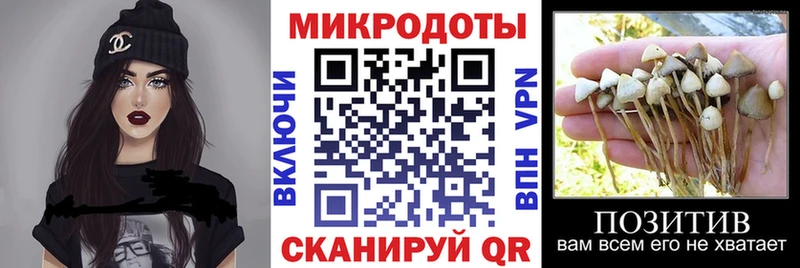 Псилоцибиновые грибы прущие грибы  Гагарин 